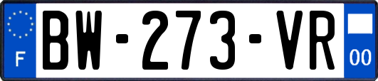 BW-273-VR