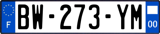 BW-273-YM