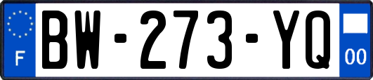 BW-273-YQ