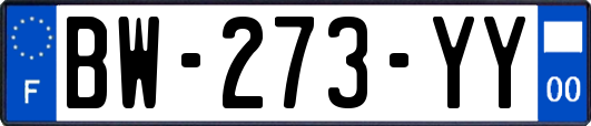 BW-273-YY