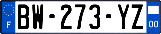 BW-273-YZ
