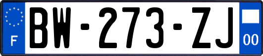 BW-273-ZJ