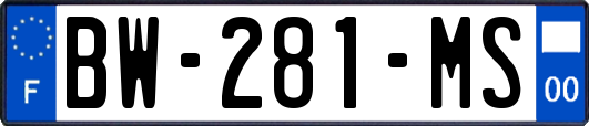 BW-281-MS
