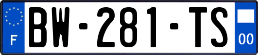 BW-281-TS