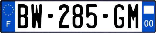 BW-285-GM