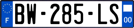 BW-285-LS
