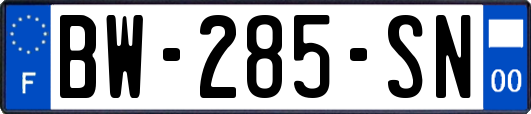 BW-285-SN