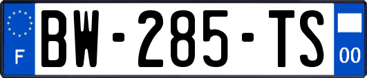 BW-285-TS