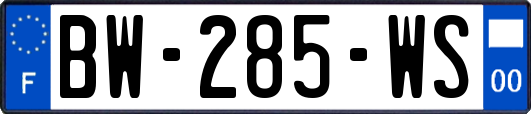 BW-285-WS