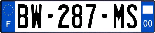 BW-287-MS
