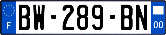 BW-289-BN