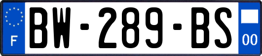 BW-289-BS