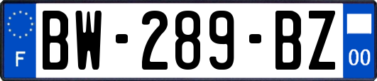 BW-289-BZ
