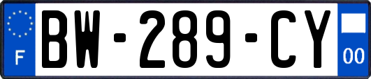 BW-289-CY