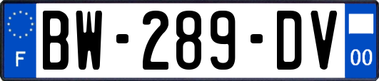 BW-289-DV