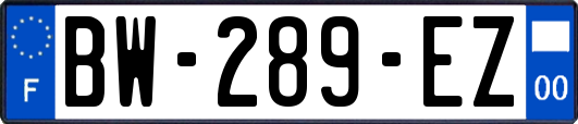 BW-289-EZ