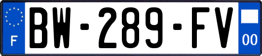 BW-289-FV