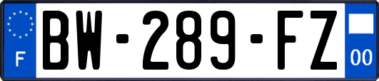 BW-289-FZ