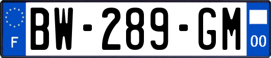 BW-289-GM