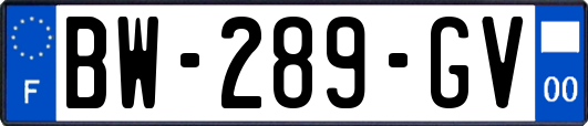 BW-289-GV