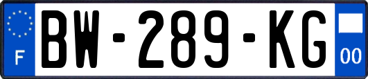 BW-289-KG