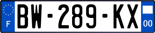 BW-289-KX