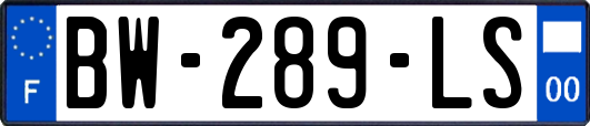 BW-289-LS