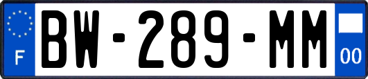 BW-289-MM