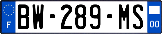 BW-289-MS