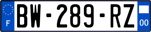 BW-289-RZ