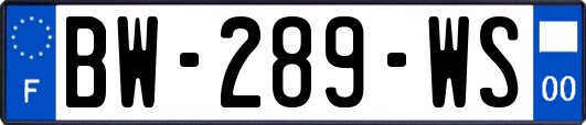 BW-289-WS