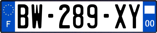 BW-289-XY
