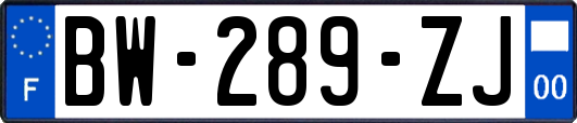 BW-289-ZJ