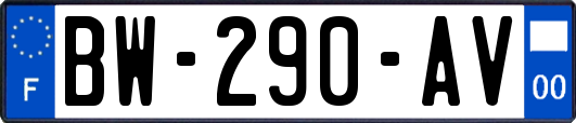 BW-290-AV