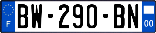 BW-290-BN