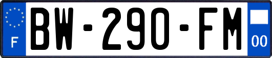 BW-290-FM