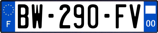 BW-290-FV