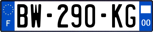 BW-290-KG
