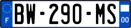 BW-290-MS