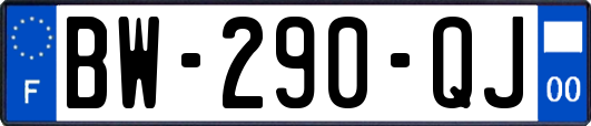 BW-290-QJ