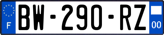 BW-290-RZ