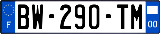 BW-290-TM