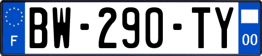 BW-290-TY