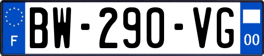 BW-290-VG