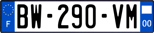 BW-290-VM