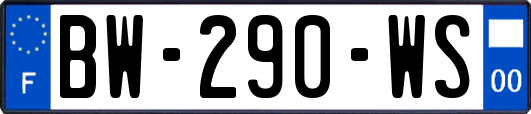 BW-290-WS