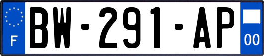 BW-291-AP