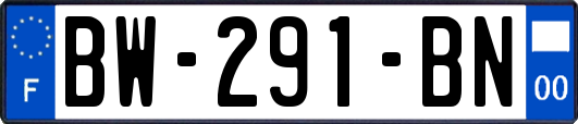 BW-291-BN