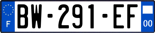 BW-291-EF