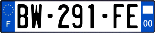 BW-291-FE